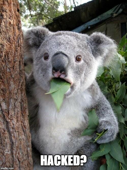 Hacked Koala meme