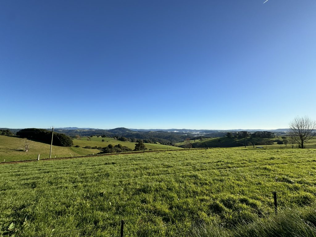 Dorrigo