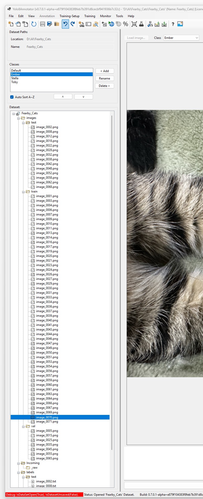 Yolo8Annotator