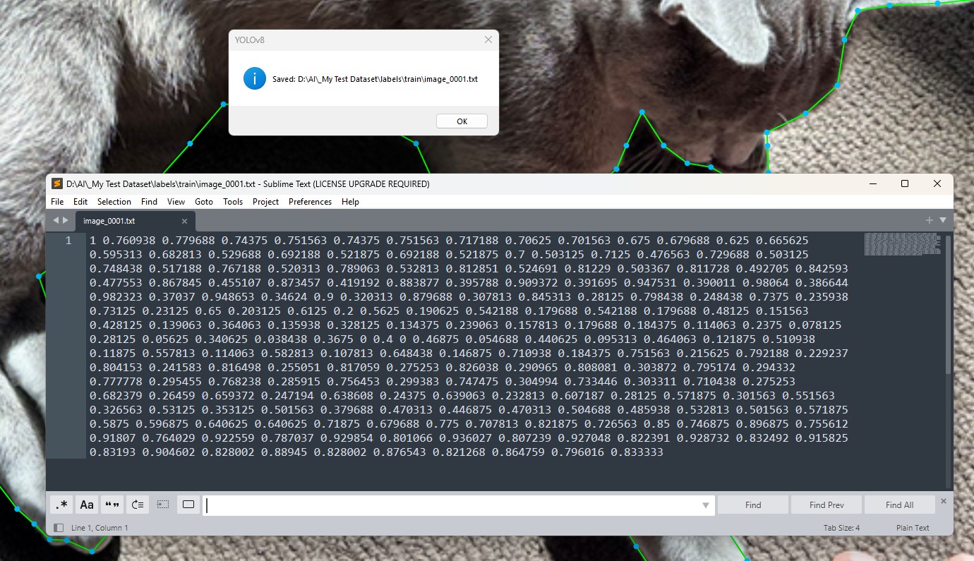 Yolo8Annotator