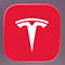 Tesla Icon