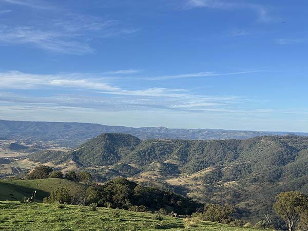 -31.9260751,151.3418621