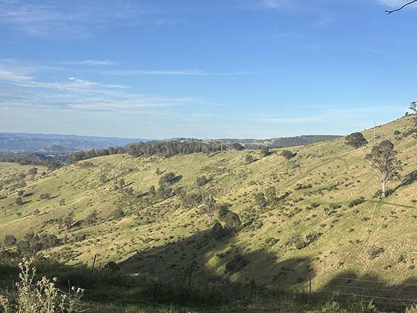 -31.9260751,151.3418621