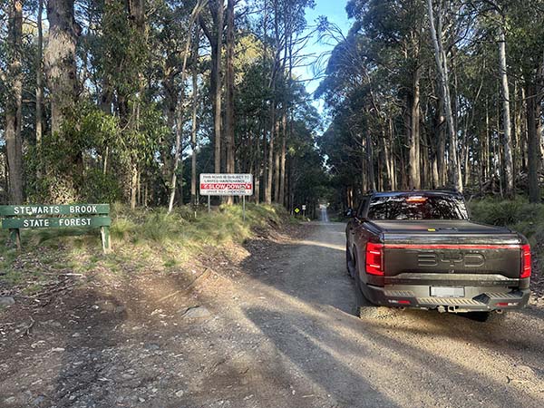 -31.93314,151.3474232