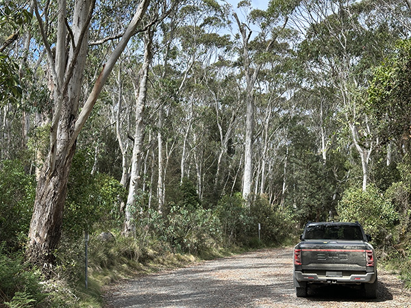 -31.9134938,151.5033444