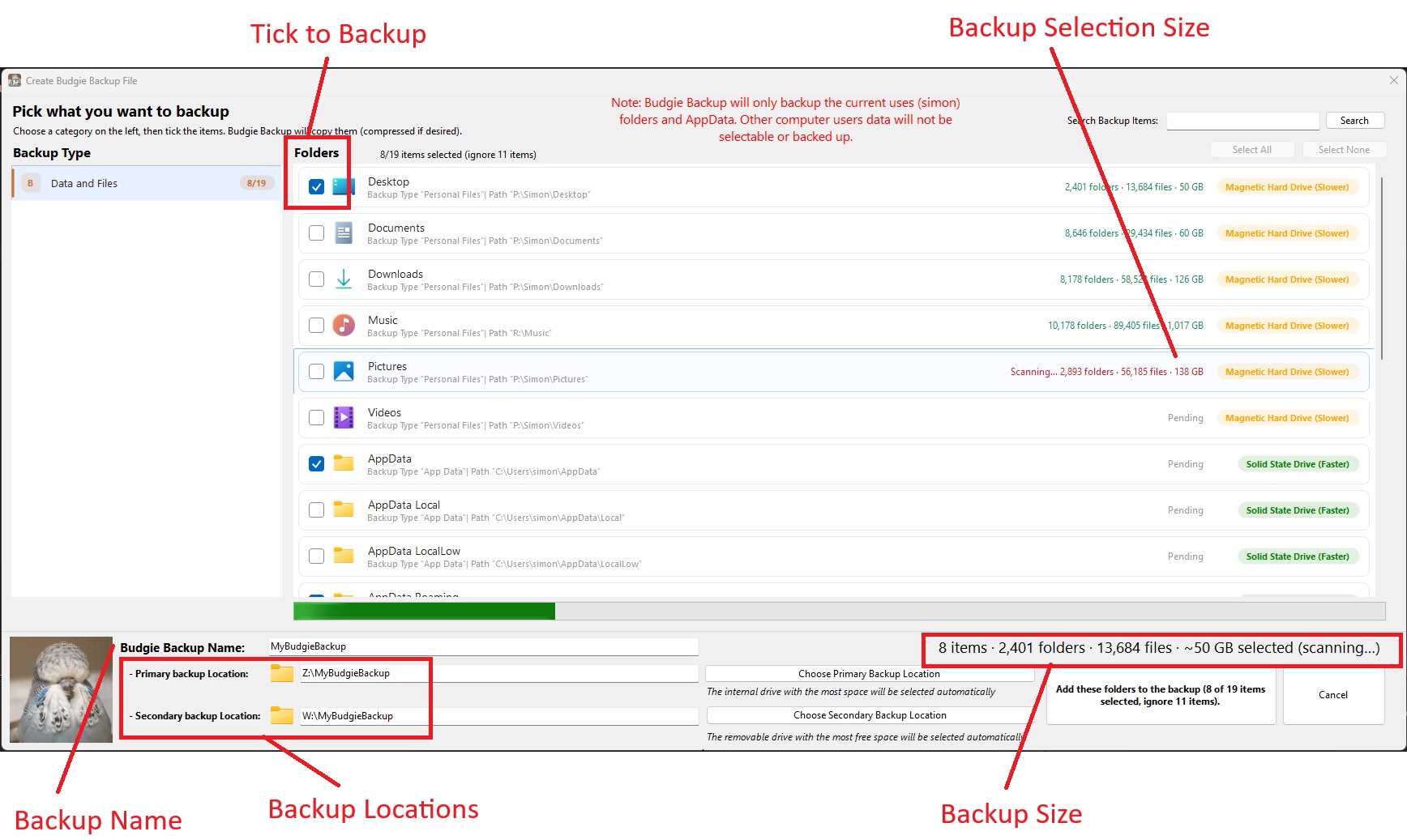 Budgie Backup Folder Summary