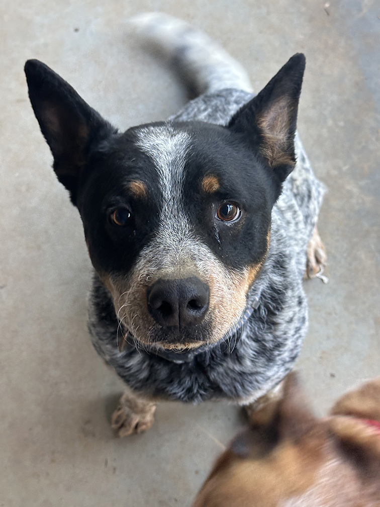 Doug