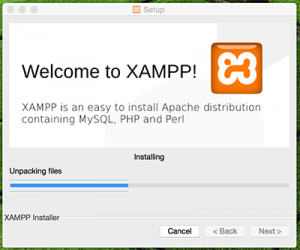 XAMPP Install Progress
