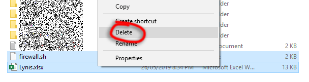 Screenshot of me deleting 2 files.
