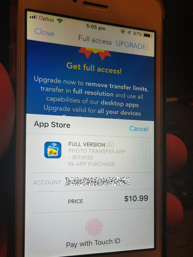 Screenshot of a $10.99 In App Purchase on the iPhone