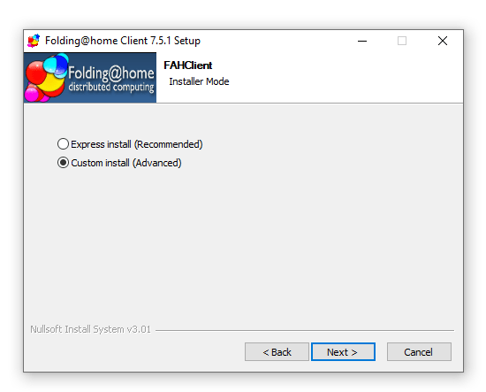 Choose Express of Custom Install Option Screenshot