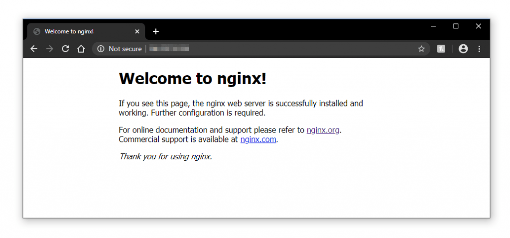 Nginx installed