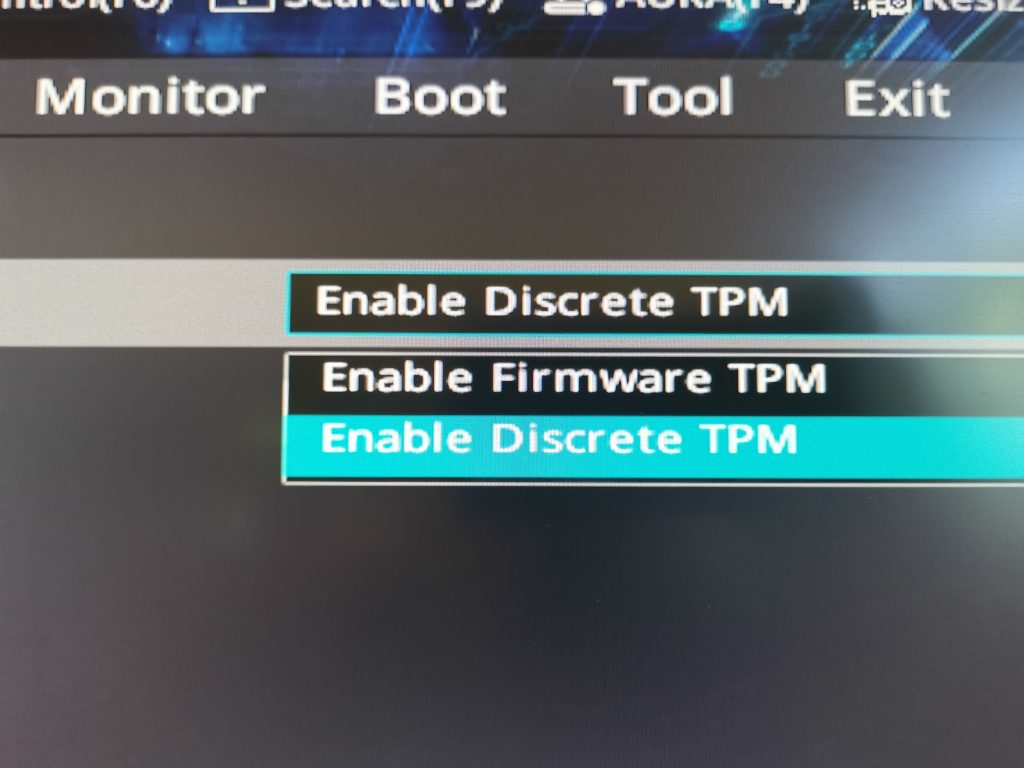BIOS TPM Choices